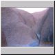 Ayers Rock (1).jpg